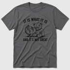 It Is What It Is T-Shirt