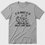 It Is What It Is T-Shirt