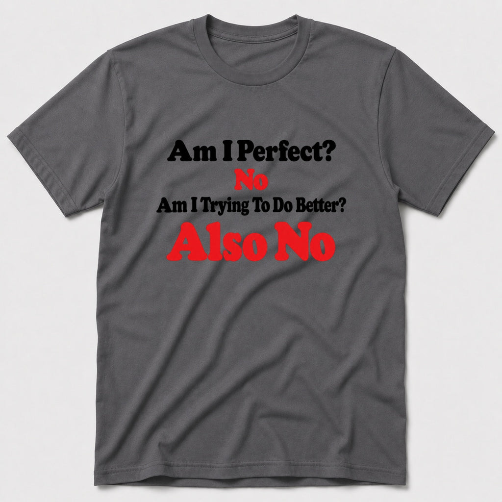 Am I Perfect T-Shirt - Charcoal