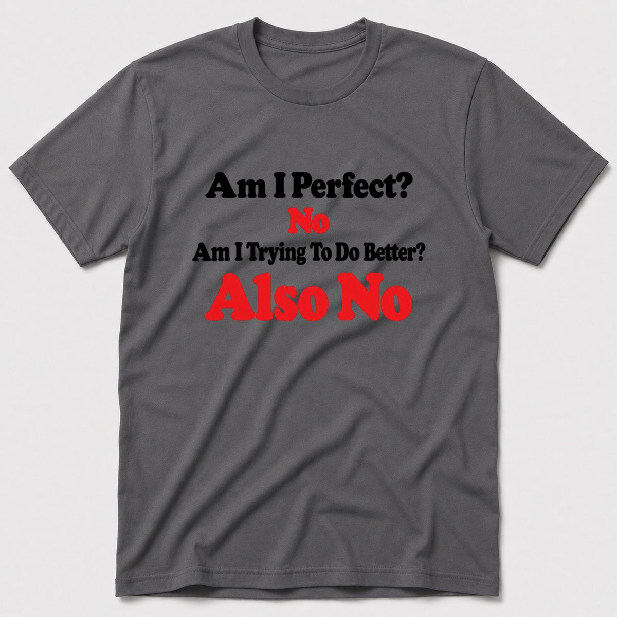 Am I Perfect T-Shirt - Charcoal