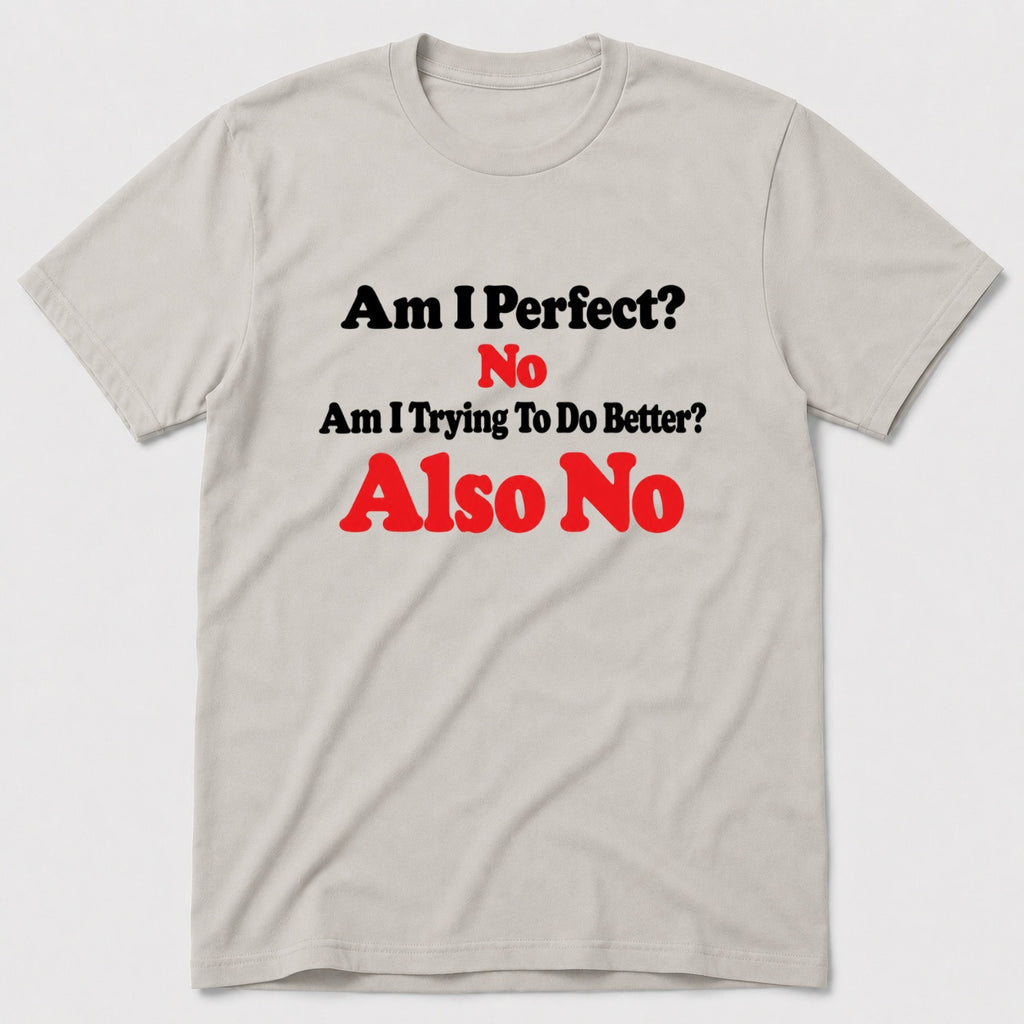 Am I Perfect T-Shirt - Ice Grey