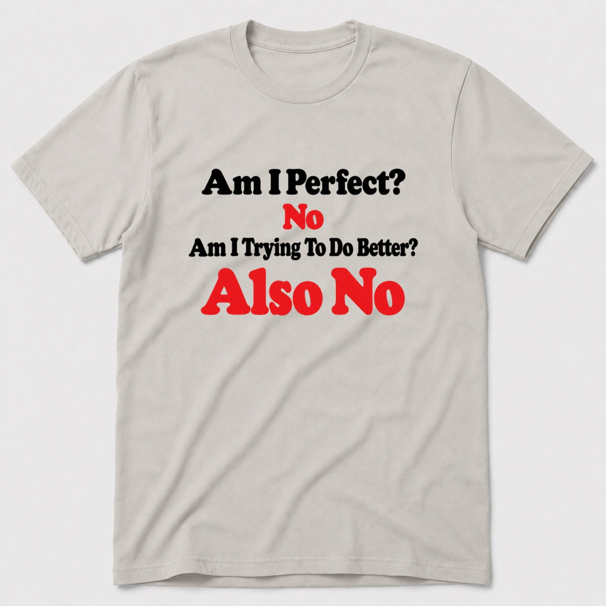 Am I Perfect T-Shirt - Ice Grey