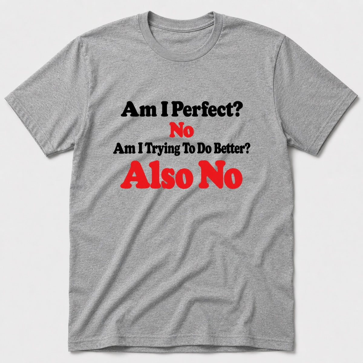 Am I Perfect T-Shirt - Sport Grey